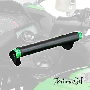 FFO[ fCgi(Daytona) oCNp Nvo[ Ninja250/250Rp }`o[z_[ CO[ 17867