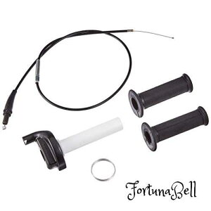 fCgi(Daytona) nCXLbg 2Xg[N rbOLu^[ p AE^[870mm 29238