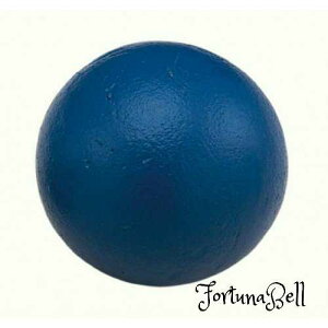 FF TCYFa91mm _m(DANNO) SC