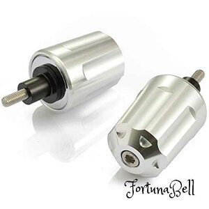 FFVo[ fCgi(Daytona) A~rbg oCNp o[Gh JTL M6^Cv(Ninja H2SX 250SLȂ) wr[EGCgo[Gh {o[ Vo[ 17281