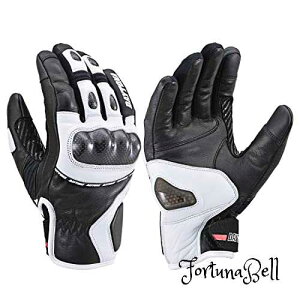 FFzCg TCYFXL fCgi(Daytona) oCNp O[u H~ {v(Mv) h h J[{veN^[ X}zΉ AWX|[cV[gO[u HBG-058 ubN/zCg XLTCY 22