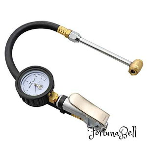 fCgi(Daytona) oCNp GAQ[W RvbT[p T^A^b`gt [Xout GACt[^[ 41767