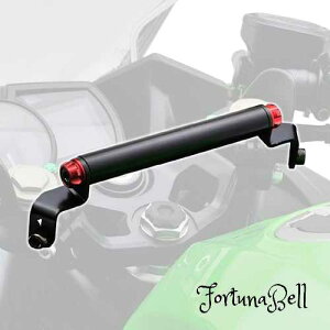 FFbh fCgi(Daytona) oCNp Nvo[ Ninja400/250p }`o[z_[ bh 17862