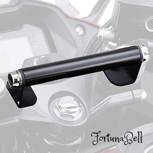 FFVo[ fCgi(Daytona) oCNp Nvo[ GSX250R(17-22)p }`o[z_[ AbVVo[ 16793