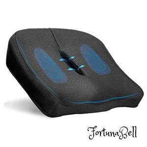 BEOBEU V[gNbV 100% sAtH[ ʋC lԍHwfUC NbV    _o ItBX ֎q Ԃ̃V[g Ԉ֎qp (ubN45 40cm)