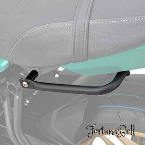 fCgi(Daytona) oCNp AVXgObv Z650RS(22) p ׊|tbNt 32472