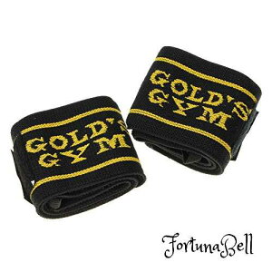 S[hW(GOLD*S GYM) [vt Xgbv G3511 S*vΉ ̕⏕ bʂ̏Wg[jO x`vX V_[vX `FXgvX