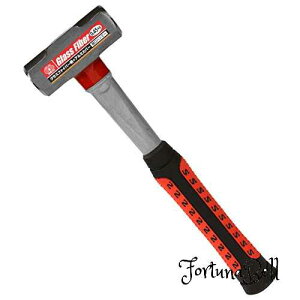 SK11(GXP[11) t@Co[OX n}[ SObv 0.45Kg