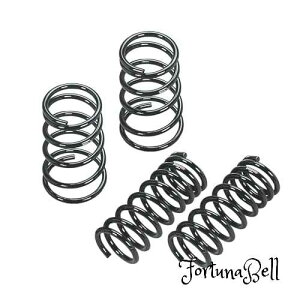 RS-R ( A[GXA[ ) _ETXyV(XvO) RS*R SUPER DOWN ~ ~AB [[L250S L150S L152S] 1Set(1䕪) D034S