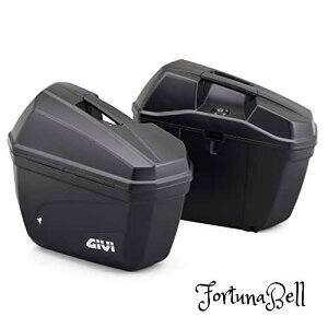 GIVI(Wr) oCNp TChP[X e22L E22N EZbg 90668