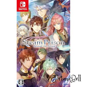 �X�`�[���v���Y�� -Beyond the Steam- - Switch