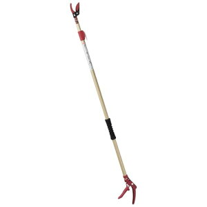 ���V(Takagi) �y�ʐL�k���}���� ����n1.3-2.0m ���}�؂�o�T�~ ���}�؋� �y�� ���}�؂͂���