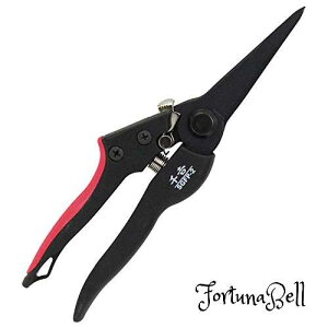 g OXt@Co[ 195mm  SGFP-2