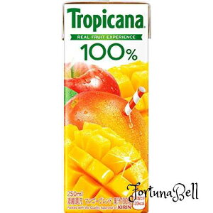 gsJ[i 100% }S[uh 250ml*24{