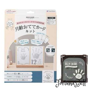 V`n^ PALM COLORS V[Y ĂăJ[hLbg ̂ە CLF Xg[ `X^vpbh HPSC-M/H-SGR