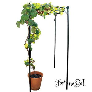 TCYFKT-S daim p[S ʕI Zbg 90cm s120cm 180cm I I K[f K[fjO I A[` | LECI |I Ԃǂ  ԂǂI