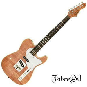 AriaProII 615-AE200 MP GLM^[