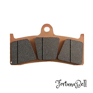 fCgi(Daytona) oCNp u[Lpbh S[fpbhX(V^[h^pbh) CB1300SF(98-00) ZX-7RR(96-01) BRUTALE-S(03) Ȃ tgp 97117 ʂNo:14