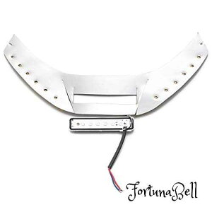 GIVI (Wr) oCNp A{bNX vLbg