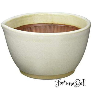 Ƃ 蔫    dqW Ή ʂɃVRSň