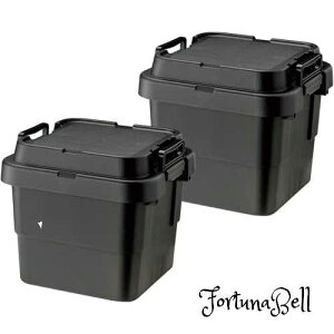 リス(RISU) 収納ボックス トランクカーゴ 30L グレー 日本製 TC-30S 2個セット コンテナ ボックス スタッキング 屋外収納 キャンプ 防水 GHON104