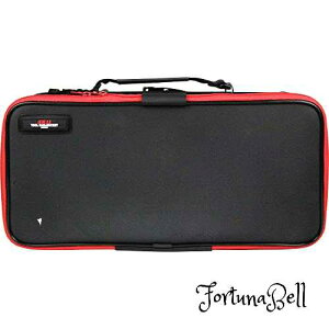 TCYFL SK11(GXP[11) EVAc[{bNX L c[obO H[