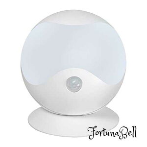 エルパ (ELPA) LEDセンサー付ライト (白色・電球色/電池式/防雨) 人感センサー/球型/マグネット/ネジ止め可能 (PM-L750W)