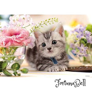 ro[(BEVERLY) WO\[pY PRETTY PET 킹̓ 1000}CNs[X (1000M-008)