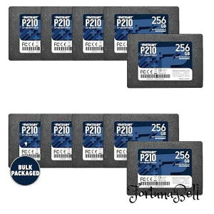 Patriot P210 SATA 3 256GB SSD 2.5 Inch Internal Solid State Drive Bulk Packaged 10 Pack - P210S256G2510B