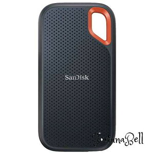 SDSSDE61-2T00-J25 GNXg[ |[^u SSD 2TB