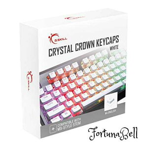 G.SKILL NX^NEL[Lbv - JjJL[{[hpC[tL[LbvZbg t104L[ X^_[h ANSI 104 p (US) CAEg - zCg