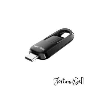 SanDisk 256GB EgXC_[ USB Type-CtbVhCu - ő400MB/bAUSB 3.2 Gen 1Ai[RlN^ - SDCZ480-256G-G46