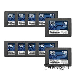 Patriot P210 SATA 3 128GB SSD 2.5 Inch Internal Solid State Drive 10 Pack, Lot of 10 - P210S128G2510