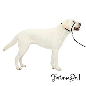 PetSafe �y�b�g�Z�[�t ���̈�������h�~�O�b�Y �W�F���g�����[�_�[ �w�b�h�J���[ �u���b�N L�T�C�Y