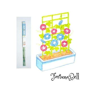 L{V(Kinboshi) ͂Ȋpx90cm 6987