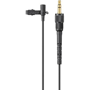 SONY(�\�j�[) �J�����p�}�C�N ���x���A�}�C�N���z�� ECM-L1