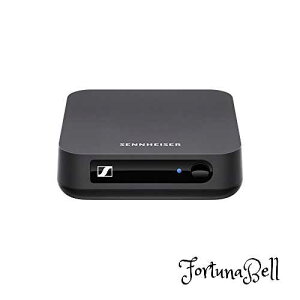 [nCU[ BluetoothI[fBIgX~b^[ BT T100 ubN 508258