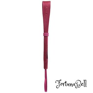 �F�F�s���N SONY �n���h�X�g���b�v ��჌�t�pL �s���N STP-WS2/P