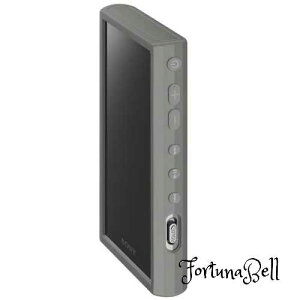 色:グレー ソニー(SONY) ウォークマン純正アクセサリー NW-A300シリーズ専用 シリコンケース グレー CKM-NWA300HC