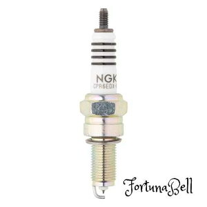���{���ꓩ��(NGK) �X�p�[�N�v���O MotoDX�v���O 2�֐�p CPR6EDX-9S(95791)