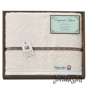 X^C(Stylem Takisada-Osaka) ^I oX^I Mtg 60*100cm I[KjbNNX { LU3027