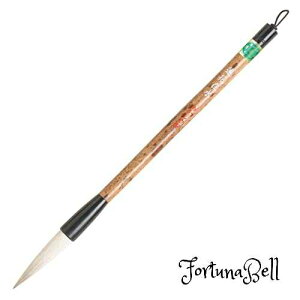  M @ԍݐ 𕝗p A040862