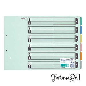 TCYFA3 RN(KOKUYO) t@C CfbNX J[d؃J[h t@Cp 6Ro 2 A3 10g VL-113