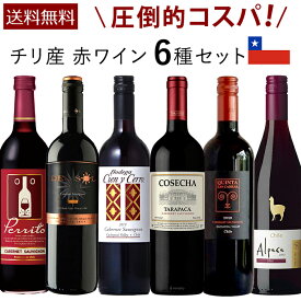 【送料無料】赤ワイン チリ 6本セット フルボディ 750ml ミディアムボディ 6種類 カベルネソヴィニオン カルメネール シラー　飲み比べ 家飲み プレゼント