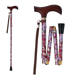 EFt@ CtXebL ܂肽ݐLk^ ԃC