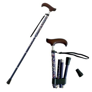 EFt@ CtXebL XlbN [tlCr[ (܏ ₷ ւSt)  p y