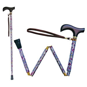 EFt@ CtXebL ܂肽ݐLk^ ԃVo[