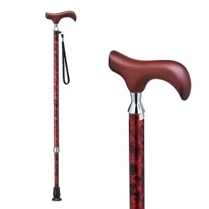 PCEzXsA  EV[Y Lk^Cv ؖڕ E-251A