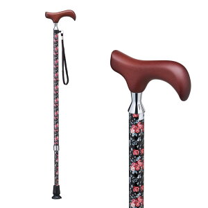 PCEzXsA  EV[Y Lk^Cv ubNԕ E-254A