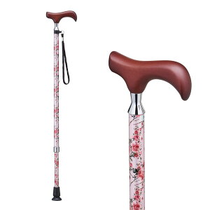 PCEzXsA  EV[Y Lk^Cv sNԕ E-252A